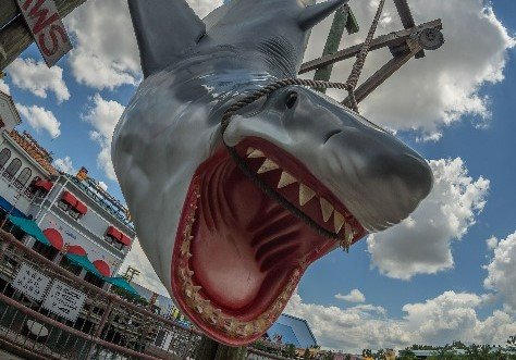 Jaws prop